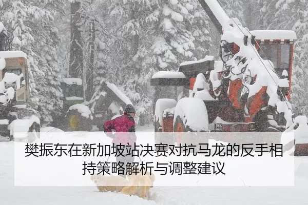 樊振东在新加坡站决赛对抗马龙的反手相持策略解析与调整建议